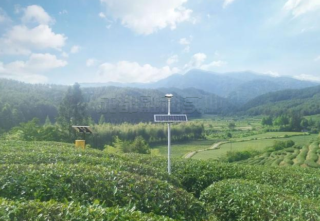 智慧茶園